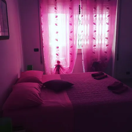 Daire R&r *